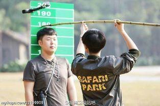 亲测明星身高,亲测数据带你领略身高魅力