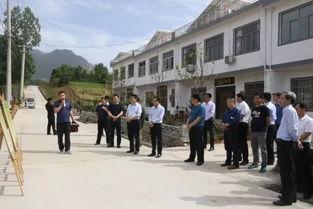 礼泉县石坡新闻头条,聚焦乡村振兴，共绘美丽乡村新画卷